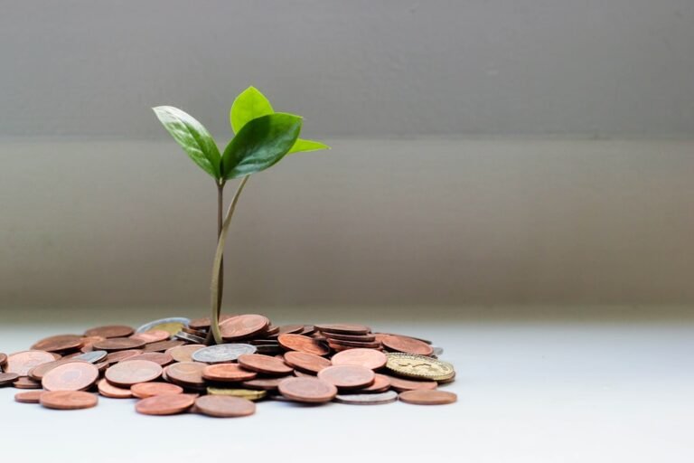 Coins with a growing plant representing dividend stock growth